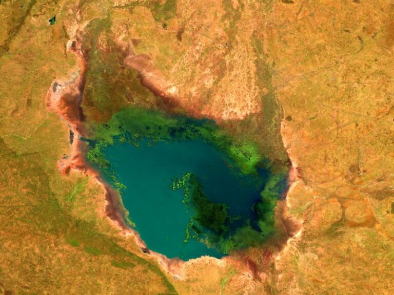 Aerial photo of a lake in Africa