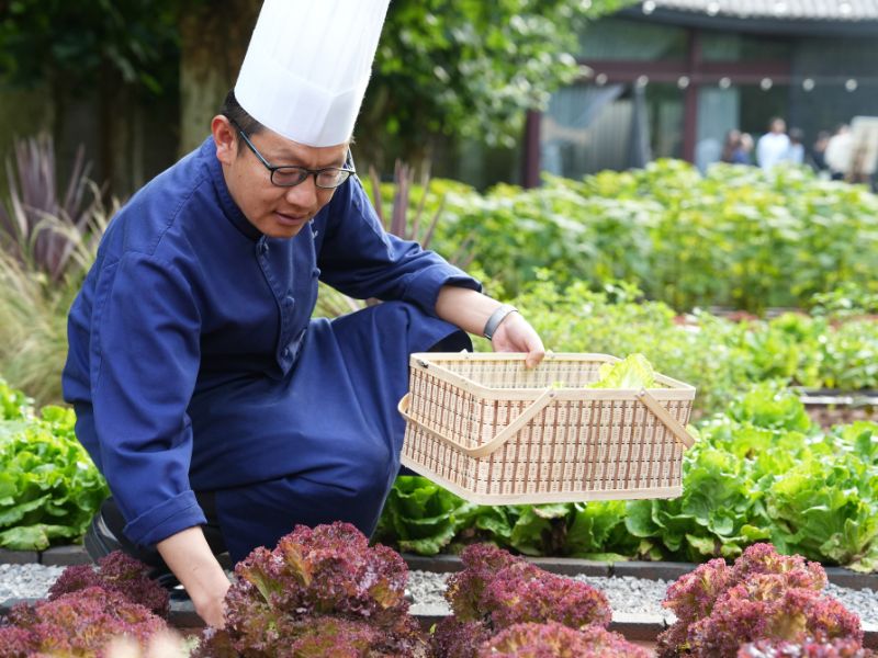 Asian chef tending to a garden