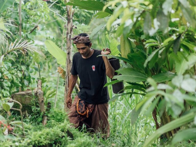Asian tour guide in the jungle
